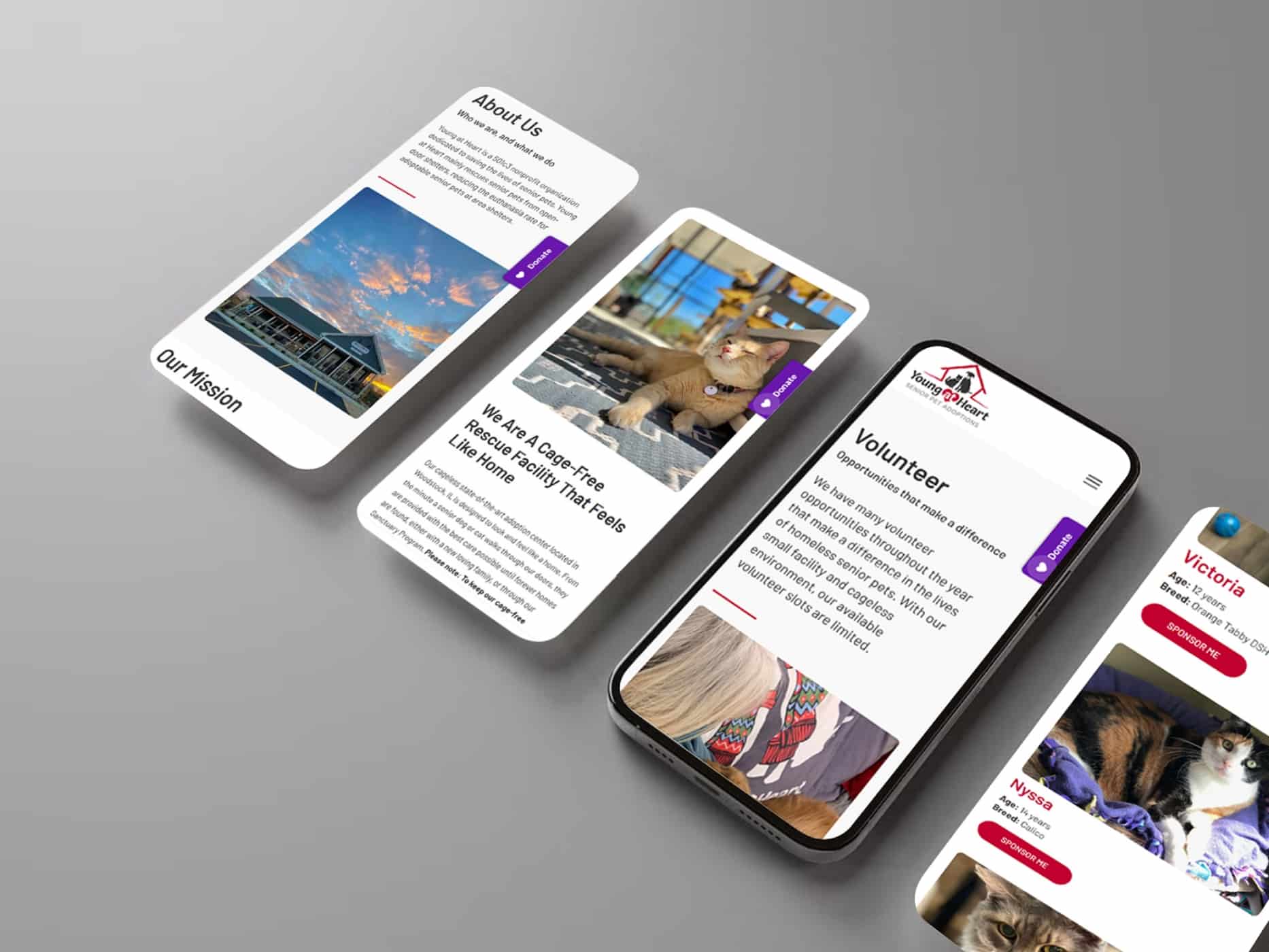 Examples of the website on a mobile view