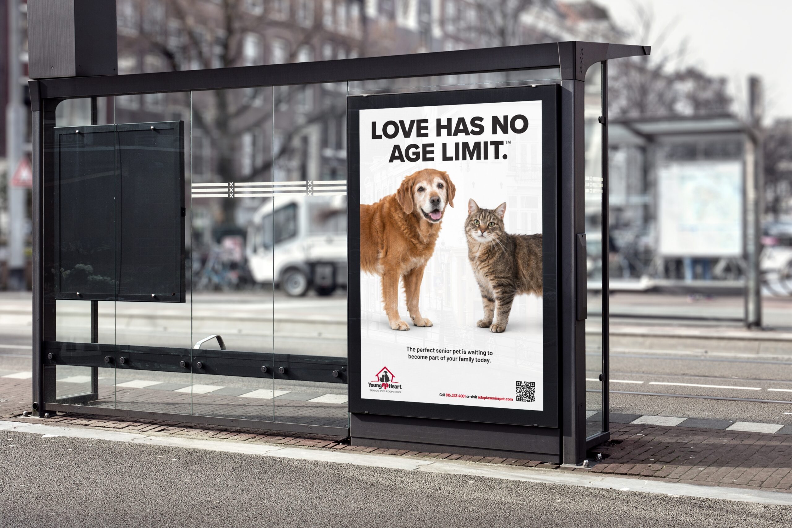 Bus stop sign with young at heart